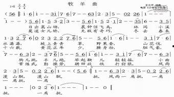 唱谱视频,跟随节奏，轻松掌握音乐旋律