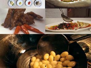 炒菜视频软件,短视频教你轻松掌握家常炒菜技巧